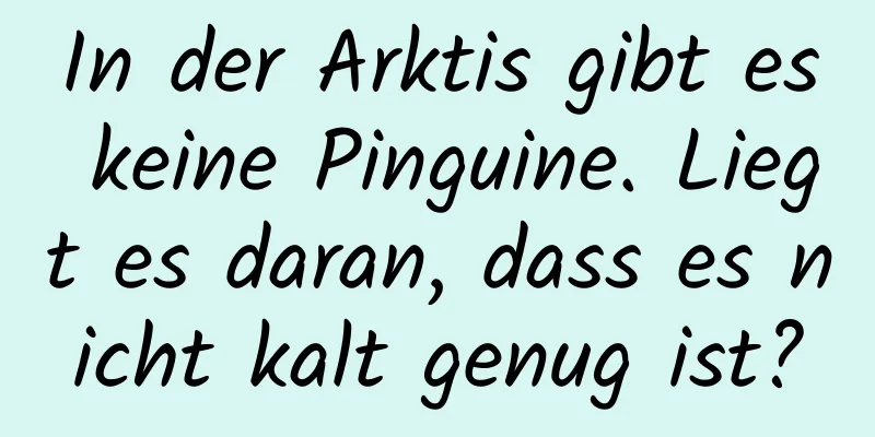 In der Arktis gibt es keine Pinguine. Liegt es daran, dass es nicht kalt genug ist?