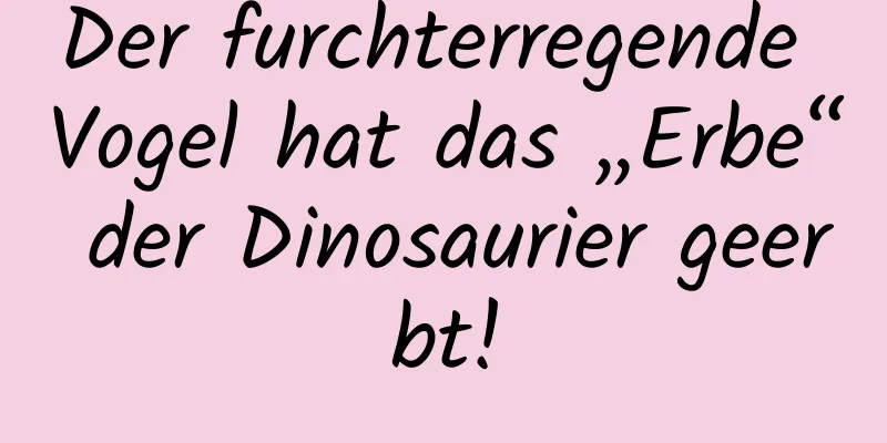 Der furchterregende Vogel hat das „Erbe“ der Dinosaurier geerbt!