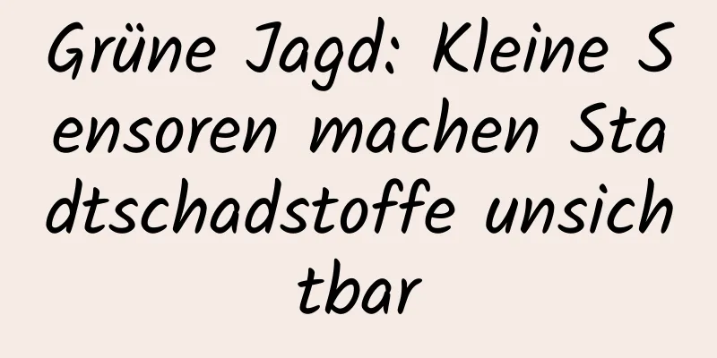 Grüne Jagd: Kleine Sensoren machen Stadtschadstoffe unsichtbar