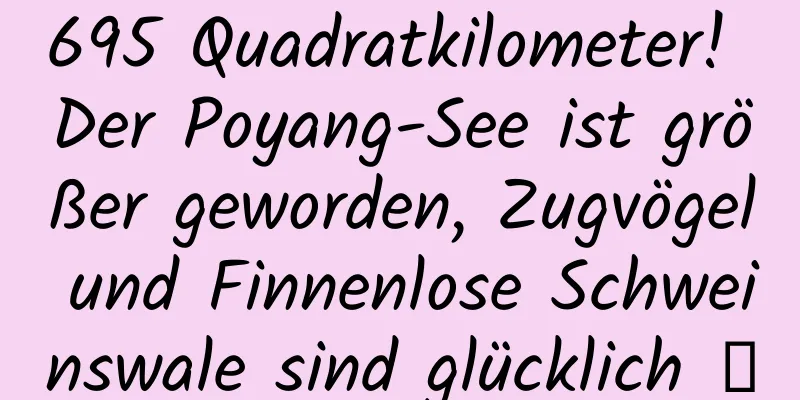695 Quadratkilometer! Der Poyang-See ist größer geworden, Zugvögel und Finnenlose Schweinswale sind glücklich →