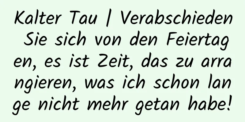 Kalter Tau | Verabschieden Sie sich von den Feiertagen, es ist Zeit, das zu arrangieren, was ich schon lange nicht mehr getan habe!