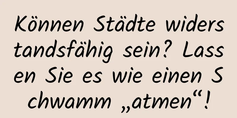 Können Städte widerstandsfähig sein? Lassen Sie es wie einen Schwamm „atmen“!