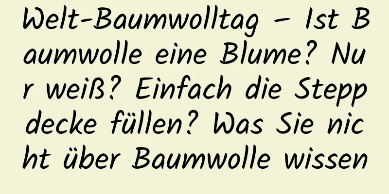 Welt-Baumwolltag – Ist Baumwolle eine Blume? Nur weiß? Einfach die Steppdecke füllen? Was Sie nicht über Baumwolle wissen