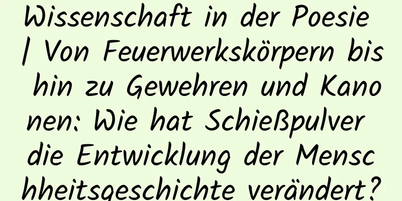 Wissenschaft in der Poesie | Von Feuerwerkskörpern bis hin zu Gewehren und Kanonen: Wie hat Schießpulver die Entwicklung der Menschheitsgeschichte verändert?