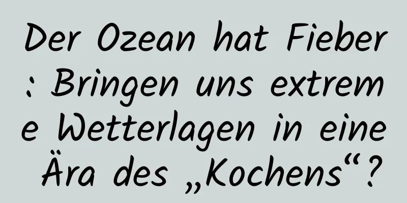 Der Ozean hat Fieber: Bringen uns extreme Wetterlagen in eine Ära des „Kochens“?