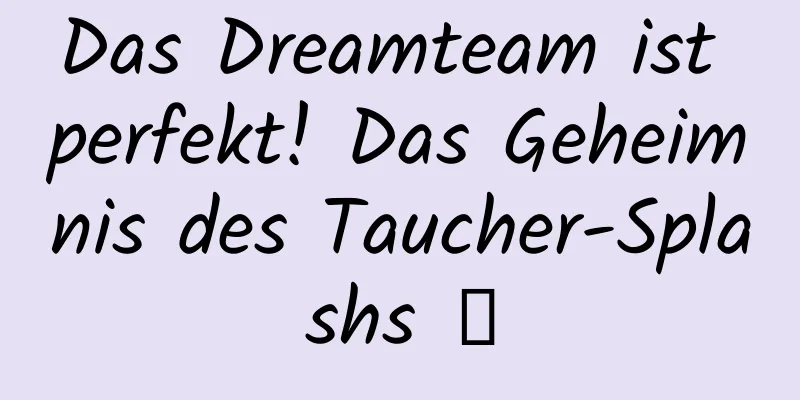 Das Dreamteam ist perfekt! Das Geheimnis des Taucher-Splashs →