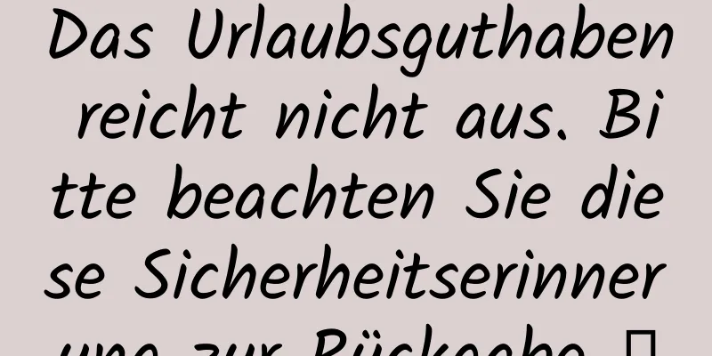 Das Urlaubsguthaben reicht nicht aus. Bitte beachten Sie diese Sicherheitserinnerung zur Rückgabe →