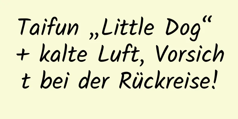 Taifun „Little Dog“ + kalte Luft, Vorsicht bei der Rückreise!
