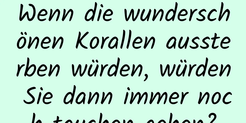Wenn die wunderschönen Korallen aussterben würden, würden Sie dann immer noch tauchen gehen?