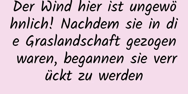 Der Wind hier ist ungewöhnlich! Nachdem sie in die Graslandschaft gezogen waren, begannen sie verrückt zu werden