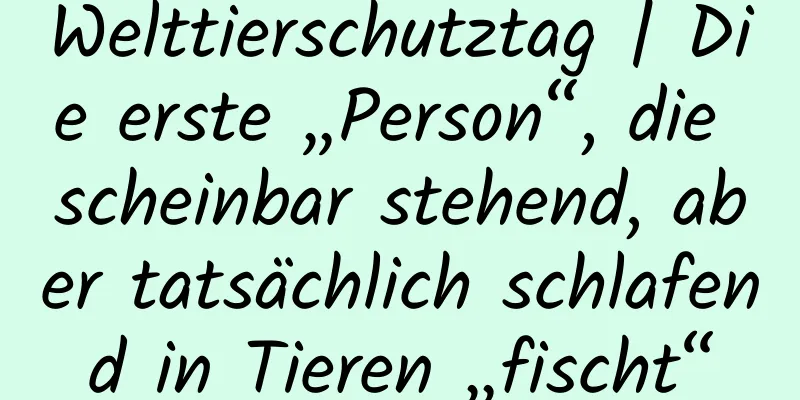 Welttierschutztag | Die erste „Person“, die scheinbar stehend, aber tatsächlich schlafend in Tieren „fischt“