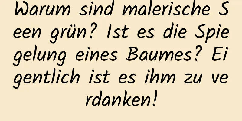 Warum sind malerische Seen grün? Ist es die Spiegelung eines Baumes? Eigentlich ist es ihm zu verdanken!