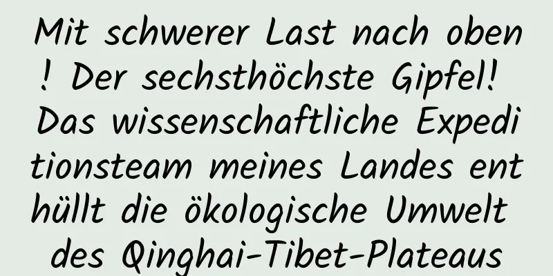 Mit schwerer Last nach oben! Der sechsthöchste Gipfel! Das wissenschaftliche Expeditionsteam meines Landes enthüllt die ökologische Umwelt des Qinghai-Tibet-Plateaus