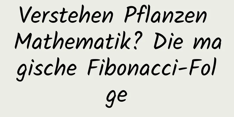 Verstehen Pflanzen Mathematik? Die magische Fibonacci-Folge