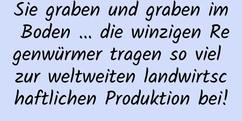 Sie graben und graben im Boden ... die winzigen Regenwürmer tragen so viel zur weltweiten landwirtschaftlichen Produktion bei!