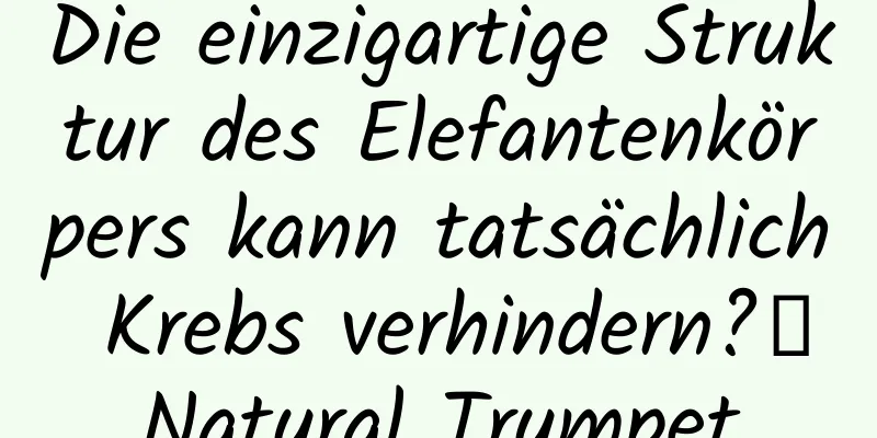 Die einzigartige Struktur des Elefantenkörpers kann tatsächlich Krebs verhindern?丨Natural Trumpet