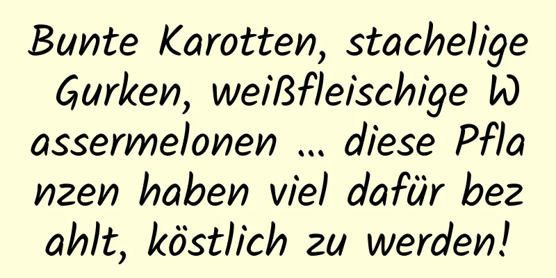 Bunte Karotten, stachelige Gurken, weißfleischige Wassermelonen … diese Pflanzen haben viel dafür bezahlt, köstlich zu werden!