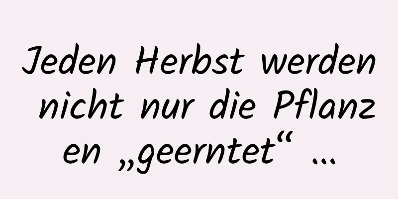 Jeden Herbst werden nicht nur die Pflanzen „geerntet“ …