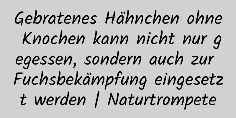 Gebratenes Hähnchen ohne Knochen kann nicht nur gegessen, sondern auch zur Fuchsbekämpfung eingesetzt werden | Naturtrompete