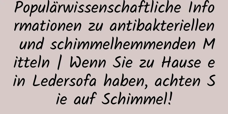Populärwissenschaftliche Informationen zu antibakteriellen und schimmelhemmenden Mitteln | Wenn Sie zu Hause ein Ledersofa haben, achten Sie auf Schimmel!