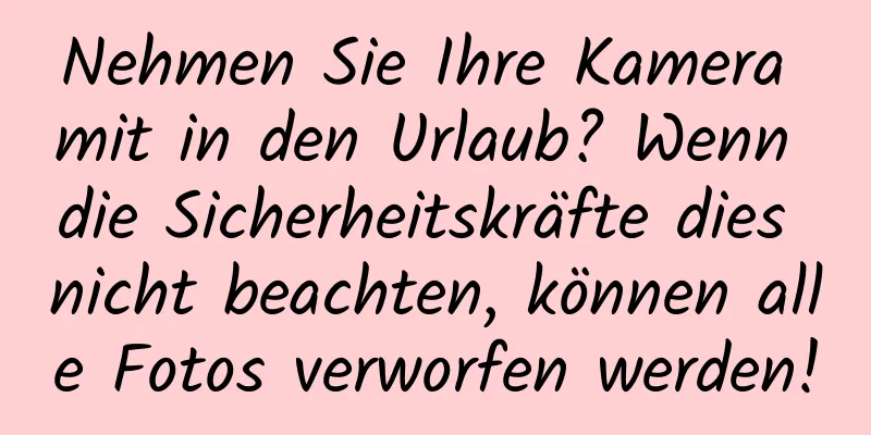 Nehmen Sie Ihre Kamera mit in den Urlaub? Wenn die Sicherheitskräfte dies nicht beachten, können alle Fotos verworfen werden!