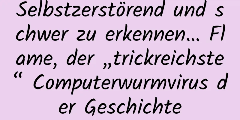 Selbstzerstörend und schwer zu erkennen… Flame, der „trickreichste“ Computerwurmvirus der Geschichte
