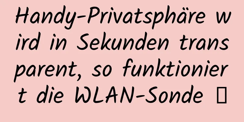Handy-Privatsphäre wird in Sekunden transparent, so funktioniert die WLAN-Sonde →