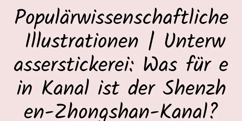 Populärwissenschaftliche Illustrationen | Unterwasserstickerei: Was für ein Kanal ist der Shenzhen-Zhongshan-Kanal?
