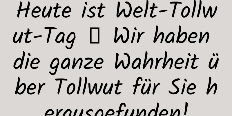 Heute ist Welt-Tollwut-Tag ❘ Wir haben die ganze Wahrheit über Tollwut für Sie herausgefunden!