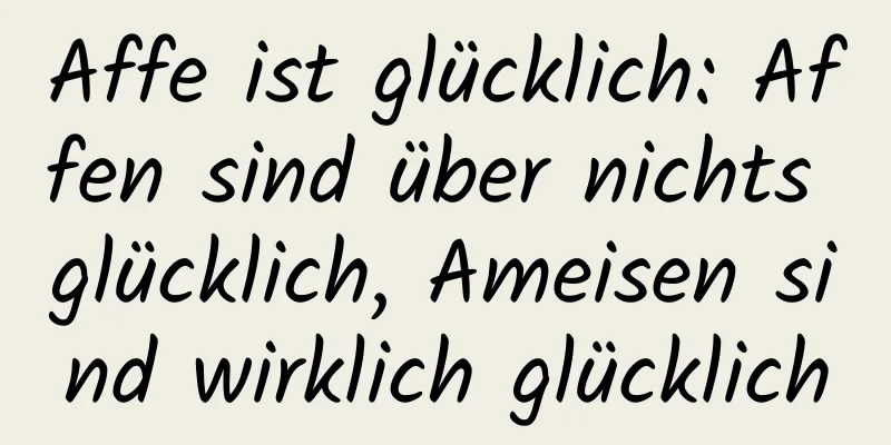 Affe ist glücklich: Affen sind über nichts glücklich, Ameisen sind wirklich glücklich