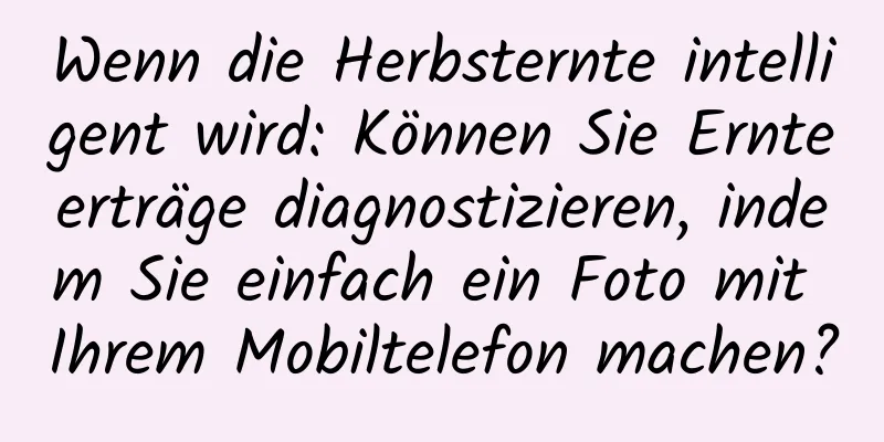 Wenn die Herbsternte intelligent wird: Können Sie Ernteerträge diagnostizieren, indem Sie einfach ein Foto mit Ihrem Mobiltelefon machen?