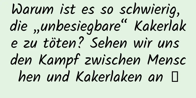 Warum ist es so schwierig, die „unbesiegbare“ Kakerlake zu töten? Sehen wir uns den Kampf zwischen Menschen und Kakerlaken an →