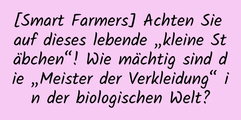 [Smart Farmers] Achten Sie auf dieses lebende „kleine Stäbchen“! Wie mächtig sind die „Meister der Verkleidung“ in der biologischen Welt?