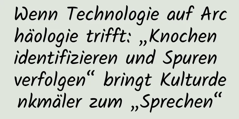 Wenn Technologie auf Archäologie trifft: „Knochen identifizieren und Spuren verfolgen“ bringt Kulturdenkmäler zum „Sprechen“