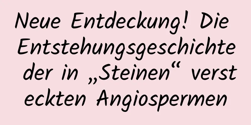 Neue Entdeckung! Die Entstehungsgeschichte der in „Steinen“ versteckten Angiospermen