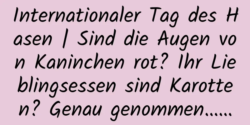 Internationaler Tag des Hasen | Sind die Augen von Kaninchen rot? Ihr Lieblingsessen sind Karotten? Genau genommen……