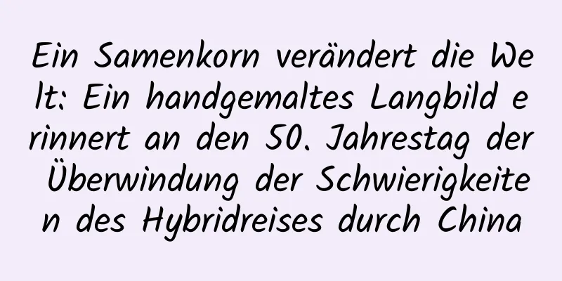 Ein Samenkorn verändert die Welt: Ein handgemaltes Langbild erinnert an den 50. Jahrestag der Überwindung der Schwierigkeiten des Hybridreises durch China