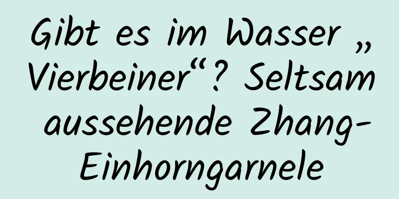 Gibt es im Wasser „Vierbeiner“? Seltsam aussehende Zhang-Einhorngarnele