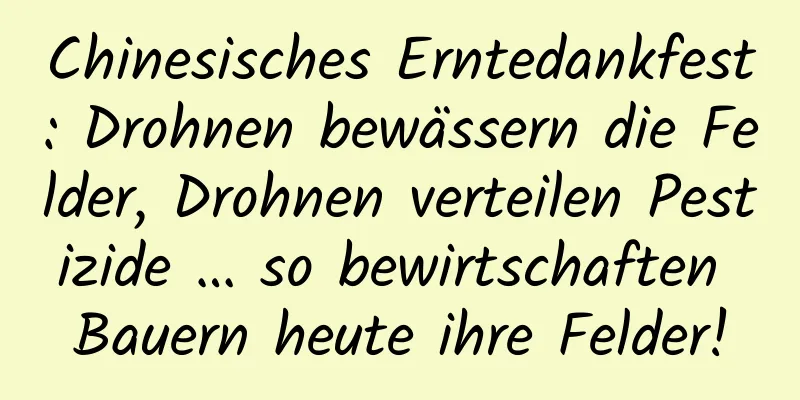 Chinesisches Erntedankfest: Drohnen bewässern die Felder, Drohnen verteilen Pestizide … so bewirtschaften Bauern heute ihre Felder!