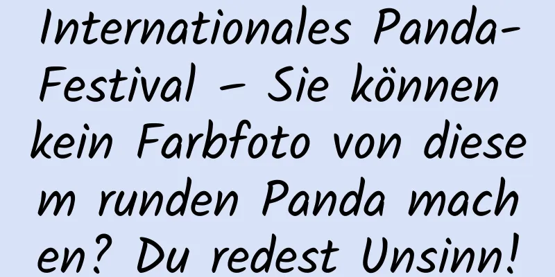 Internationales Panda-Festival – Sie können kein Farbfoto von diesem runden Panda machen? Du redest Unsinn!