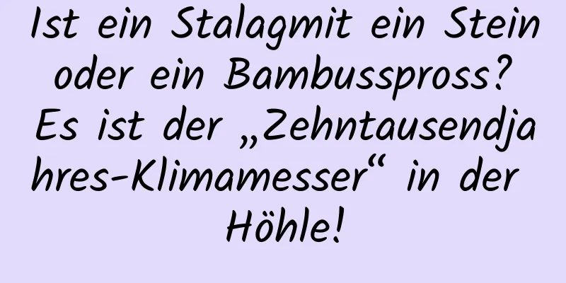 Ist ein Stalagmit ein Stein oder ein Bambusspross? Es ist der „Zehntausendjahres-Klimamesser“ in der Höhle!