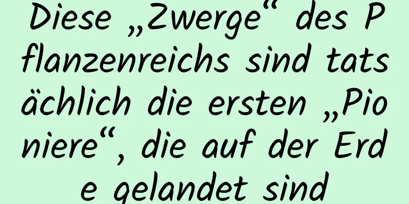Diese „Zwerge“ des Pflanzenreichs sind tatsächlich die ersten „Pioniere“, die auf der Erde gelandet sind
