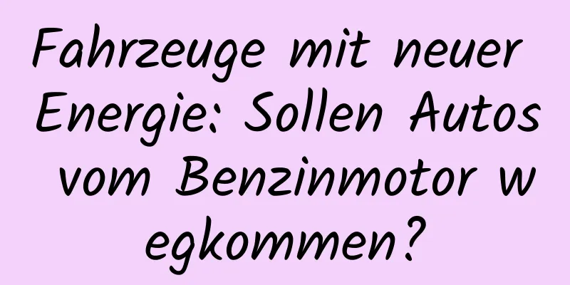 Fahrzeuge mit neuer Energie: Sollen Autos vom Benzinmotor wegkommen?