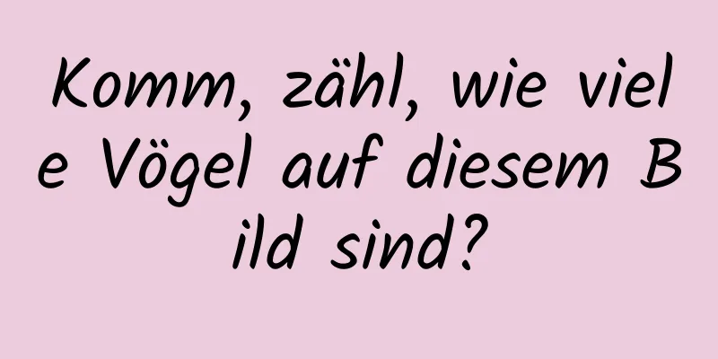 Komm, zähl, wie viele Vögel auf diesem Bild sind?