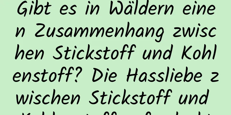 Gibt es in Wäldern einen Zusammenhang zwischen Stickstoff und Kohlenstoff? Die Hassliebe zwischen Stickstoff und Kohlenstoff aufgedeckt