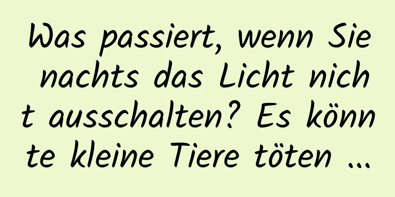 Was passiert, wenn Sie nachts das Licht nicht ausschalten? Es könnte kleine Tiere töten ...