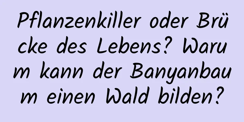 Pflanzenkiller oder Brücke des Lebens? Warum kann der Banyanbaum einen Wald bilden?