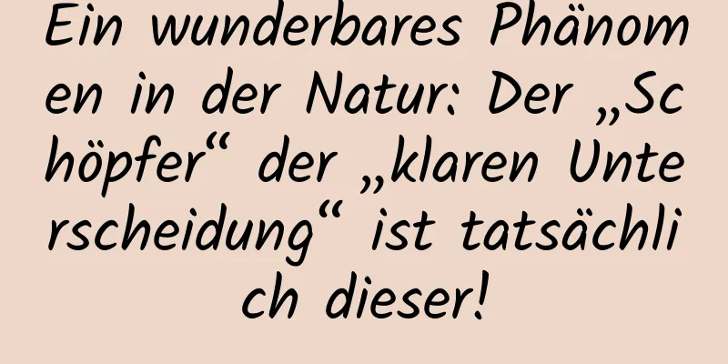 Ein wunderbares Phänomen in der Natur: Der „Schöpfer“ der „klaren Unterscheidung“ ist tatsächlich dieser!