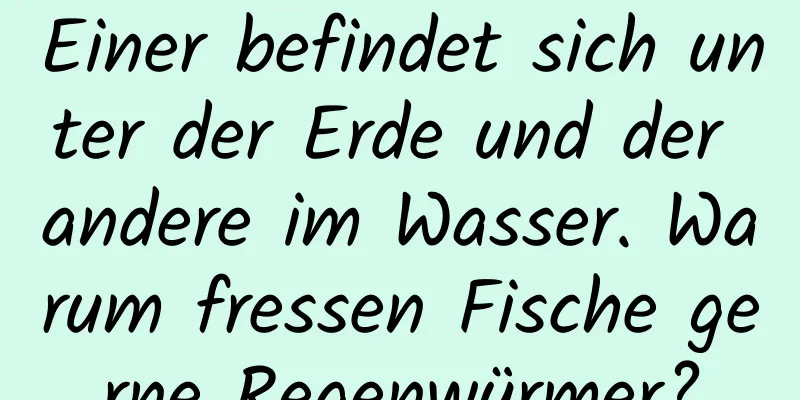 Einer befindet sich unter der Erde und der andere im Wasser. Warum fressen Fische gerne Regenwürmer?
