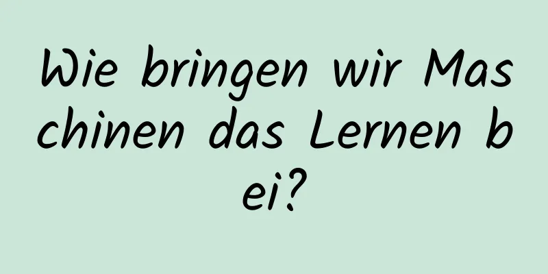 Wie bringen wir Maschinen das Lernen bei?